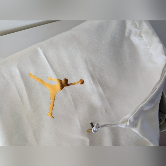 NWT Air Jordan 12s Wings - Picture 10 of 14